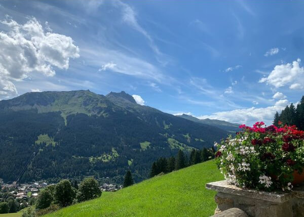 Berge Blumen Sonne