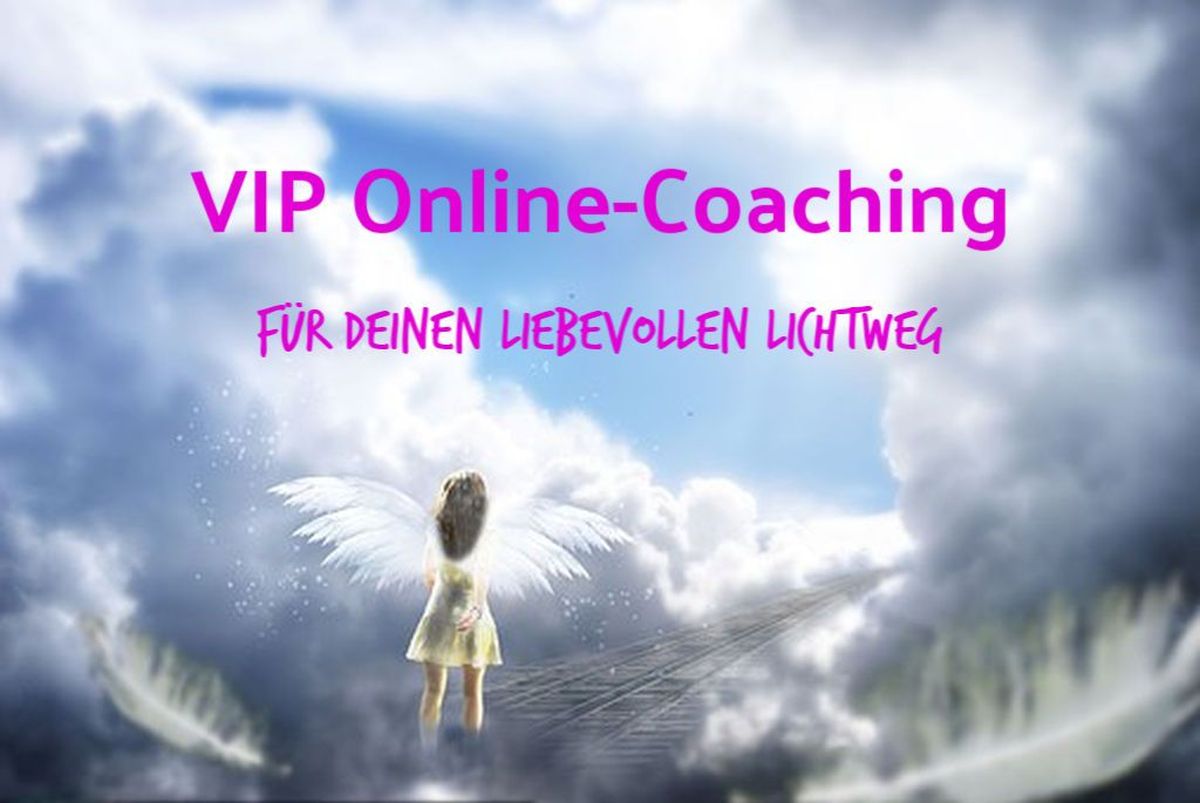 VIP Online-Coaching
